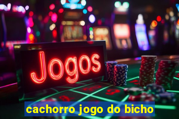 cachorro jogo do bicho